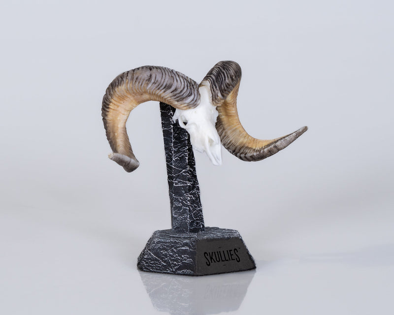 Load image into Gallery viewer, Resin Skullies - Miniature Replica Altai Argali Skull - Skullies

