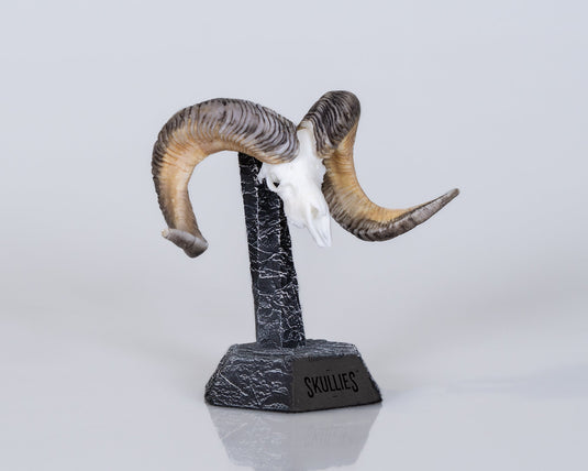 Resin Skullies - Miniature Replica Altai Argali Skull - Skullies