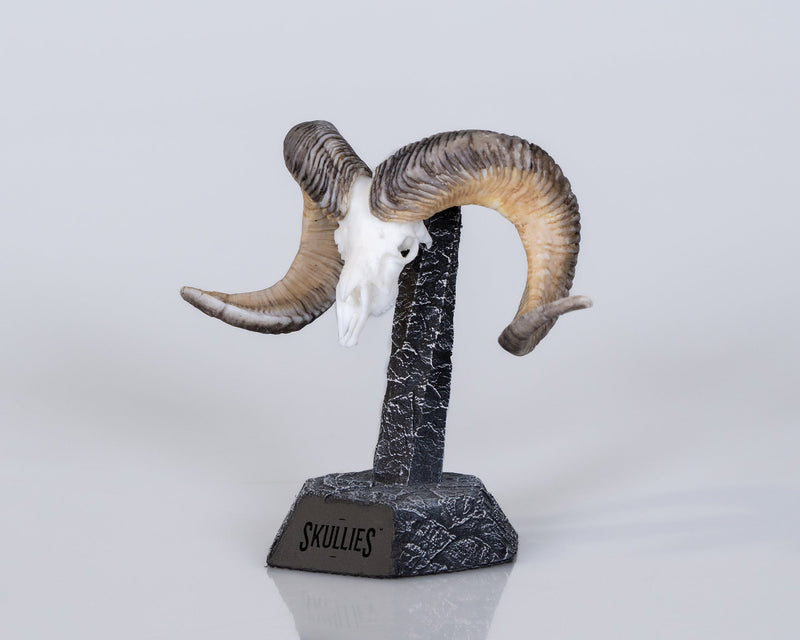 Load image into Gallery viewer, Resin Skullies - Miniature Replica Altai Argali Skull - Skullies
