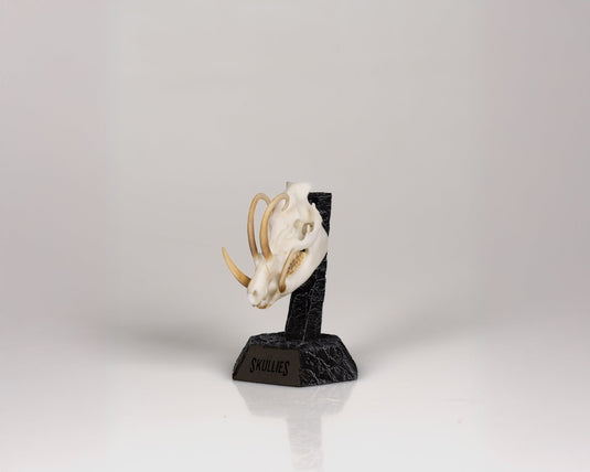 Resin Skullies - Miniature Replica Babirusa Skull - Skullies