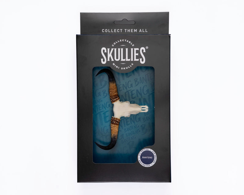 Load image into Gallery viewer, Resin Skullies - Miniature Replica Banteng Skull - Skullies
