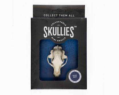 Resin Skullies - Miniature Replica Black Bear Skull - Skullies