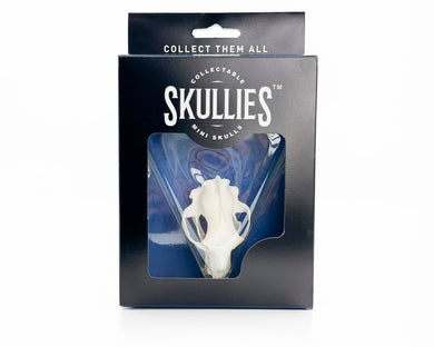 Resin Skullies - Miniature Replica Black Bear Skull - Skullies