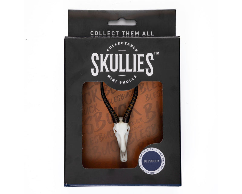 Load image into Gallery viewer, Resin Skullies - Miniature Replica Blesbuck Skull - Skullies
