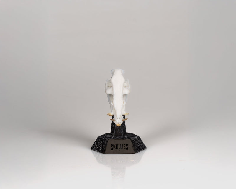 Load image into Gallery viewer, Resin Skullies - Miniature Replica Bushpig Skull - Skullies

