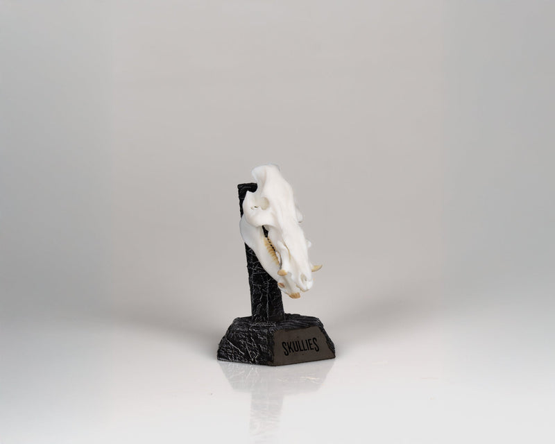 Load image into Gallery viewer, Resin Skullies - Miniature Replica Bushpig Skull - Skullies
