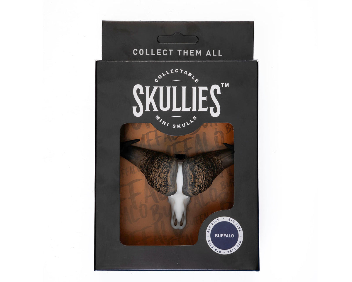 Resin Skullies - Miniature Replica Cape Buffalo Skull - Skullies