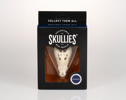 Resin Skullies - Miniature Replica Crocodile Skull - Skullies