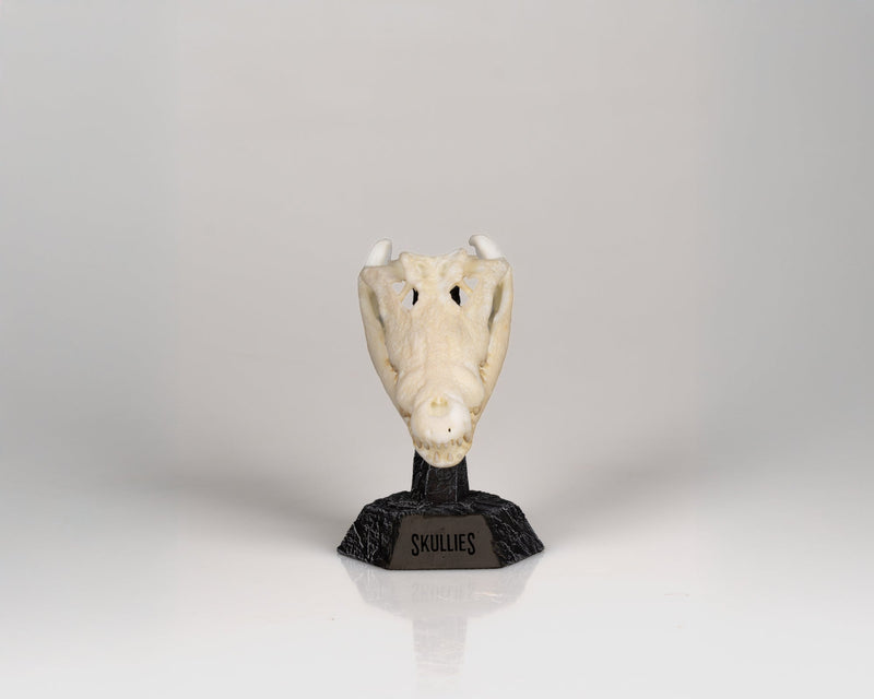 Load image into Gallery viewer, Resin Skullies - Miniature Replica Crocodile Skull - Skullies
