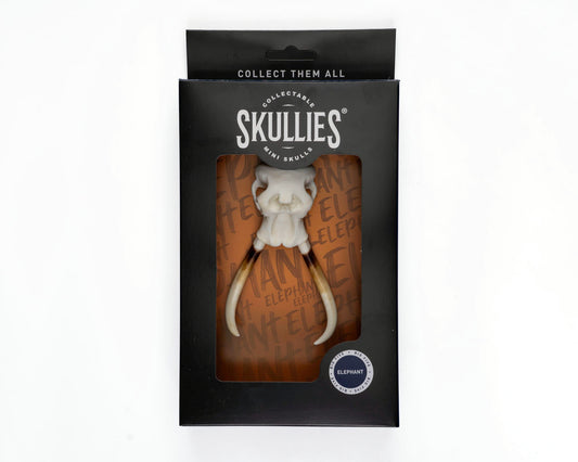 Resin Skullies - Miniature Replica Elephant Skull - Skullies