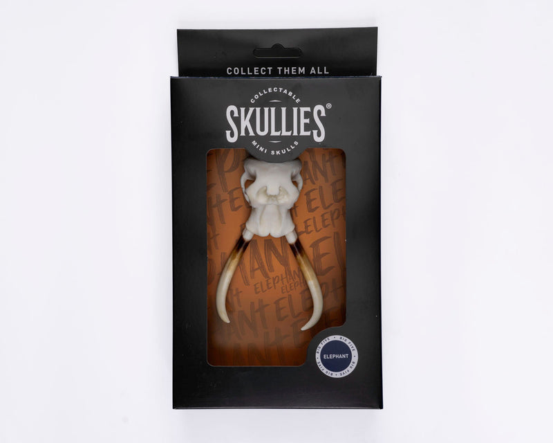 Load image into Gallery viewer, Resin Skullies - Miniature Replica Elephant Skull - Skullies
