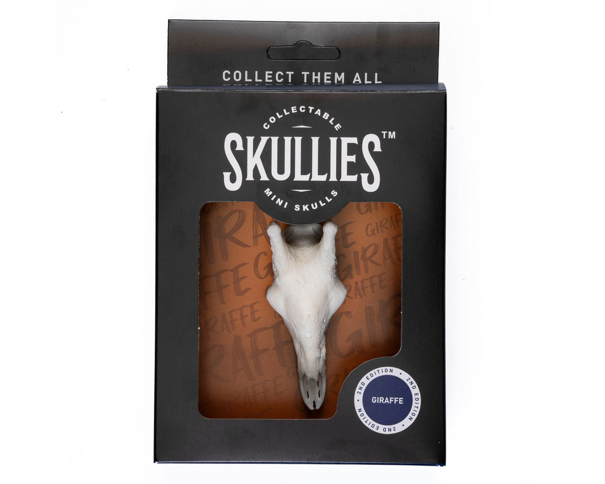 Resin Skullies - Miniature Replica Giraffe Skull - Skullies