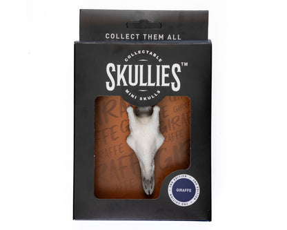 Resin Skullies - Miniature Replica Giraffe Skull - Skullies