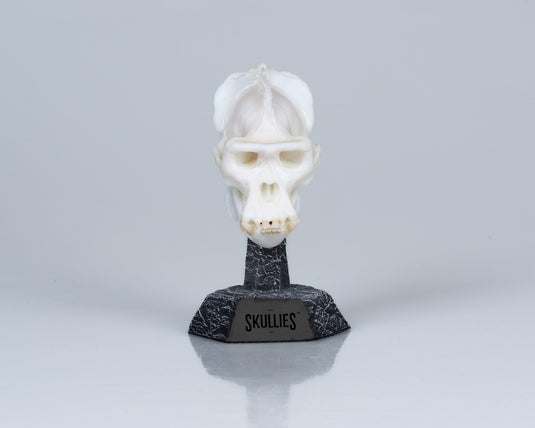 Resin Skullies - Miniature Replica Gorilla Skull - Skullies