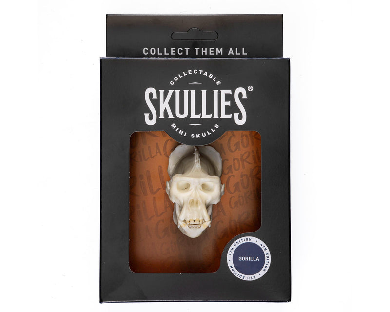 Load image into Gallery viewer, Resin Skullies - Miniature Replica Gorilla Skull - Skullies
