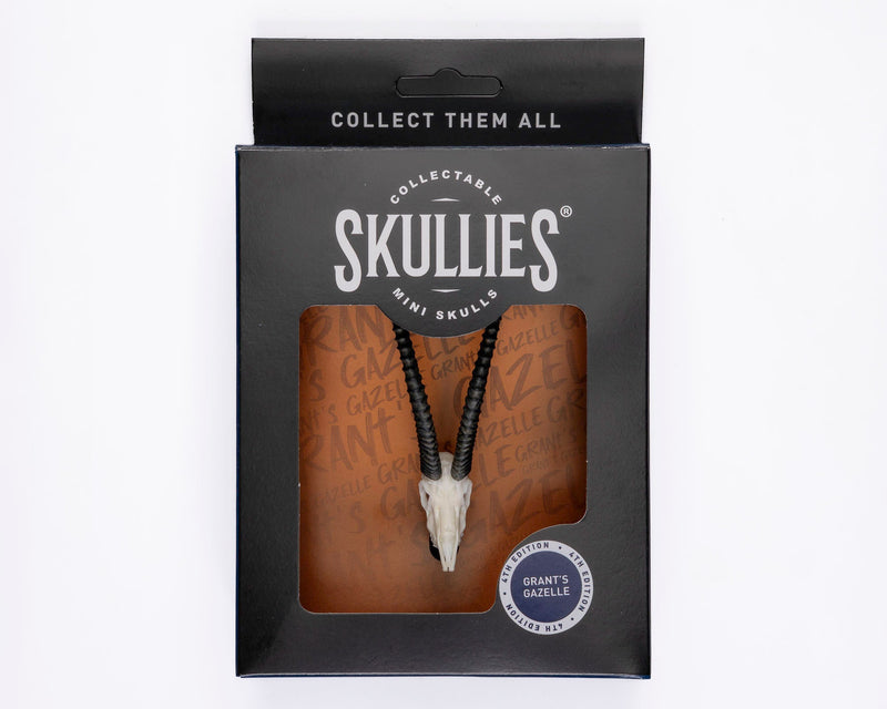 Load image into Gallery viewer, Resin Skullies - Miniature Replica Grants Gazelle Skull - Skullies
