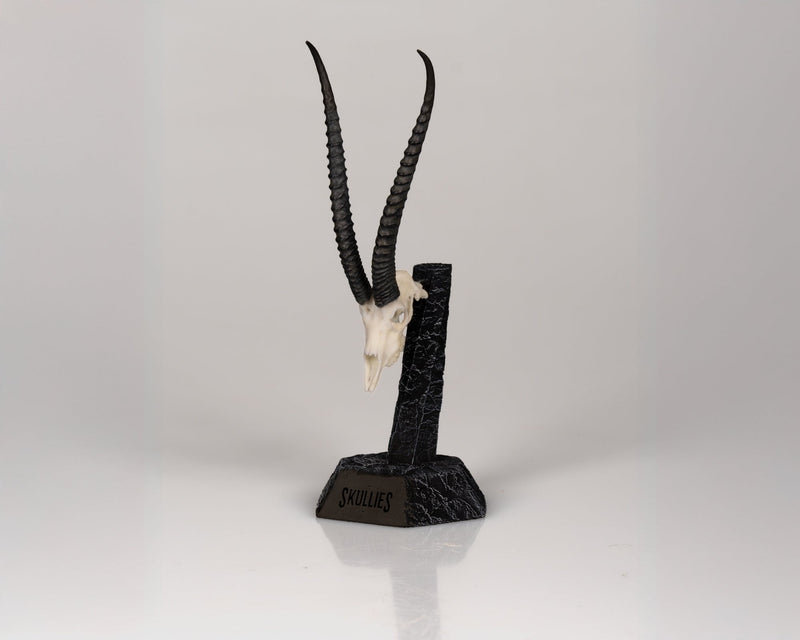 Load image into Gallery viewer, Resin Skullies - Miniature Replica Grants Gazelle Skull - Skullies
