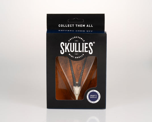 Resin Skullies - Miniature Replica Grants Gazelle Skull - Skullies