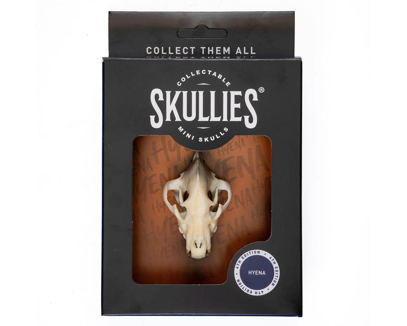 Load image into Gallery viewer, Resin Skullies - Miniature Replica Hyena Skull - Skullies
