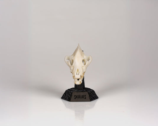 Resin Skullies - Miniature Replica Hyena Skull - Skullies