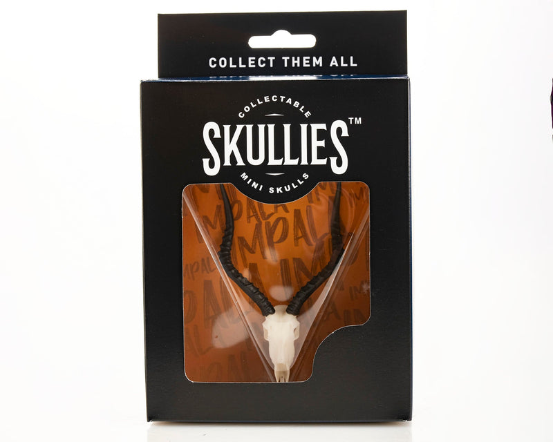 Load image into Gallery viewer, Resin Skullies - Miniature Replica Impala Skull - Skullies
