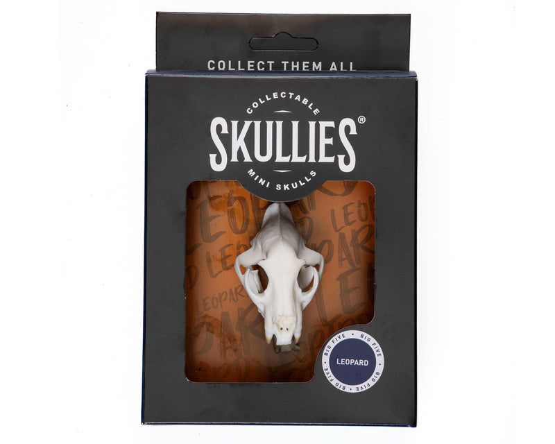 Load image into Gallery viewer, Resin Skullies - Miniature Replica Leopard Skull - Skullies
