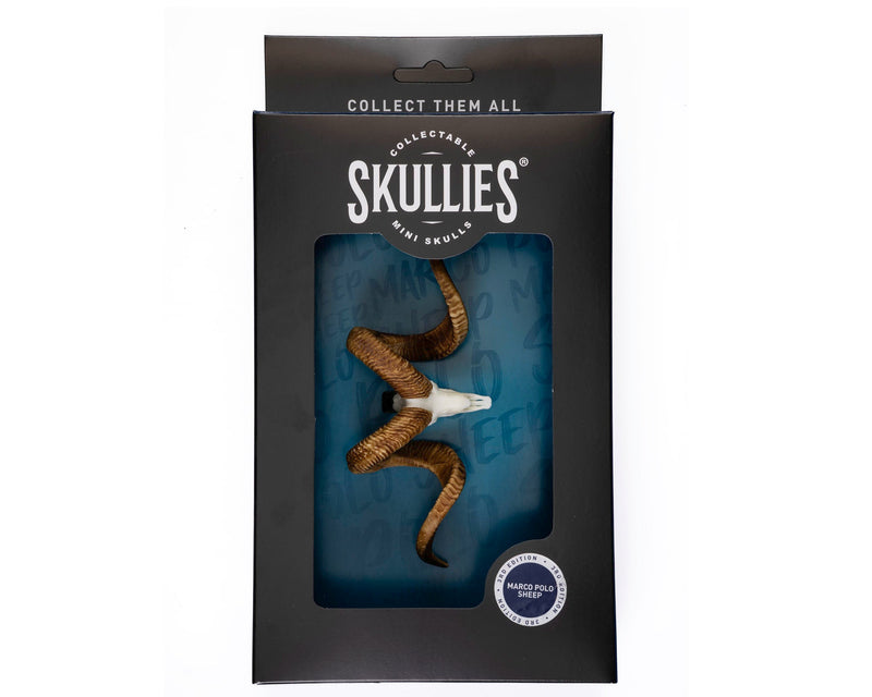 Load image into Gallery viewer, Resin Skullies - Miniature Replica Marco Polo Skull - Skullies
