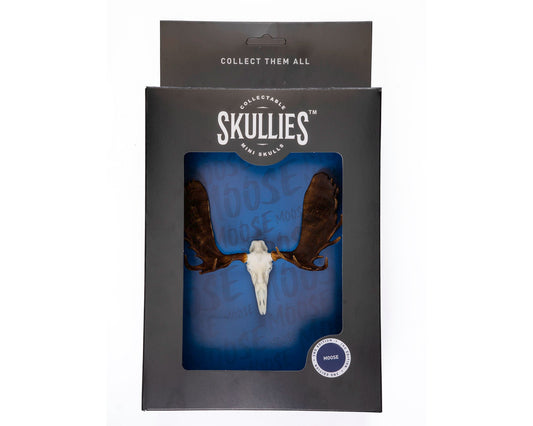 Resin Skullies - Miniature Replica Moose Skull - Skullies