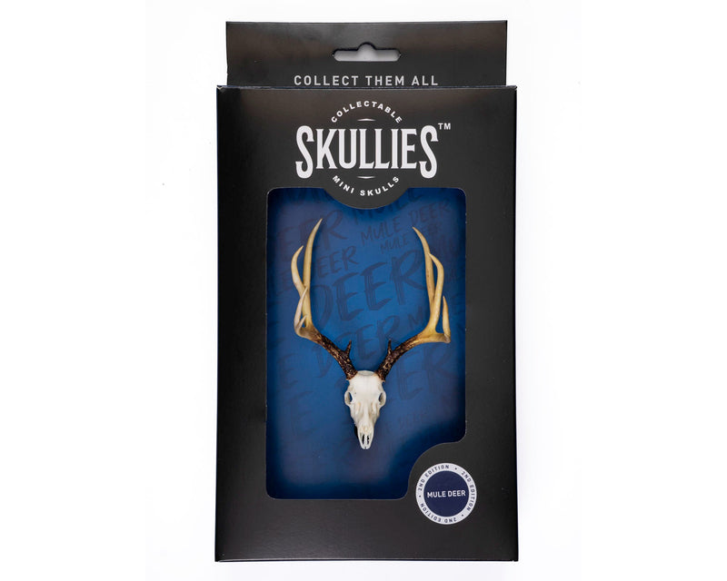 Load image into Gallery viewer, Resin Skullies - Miniature Replica Mule Deer Skull - Skullies
