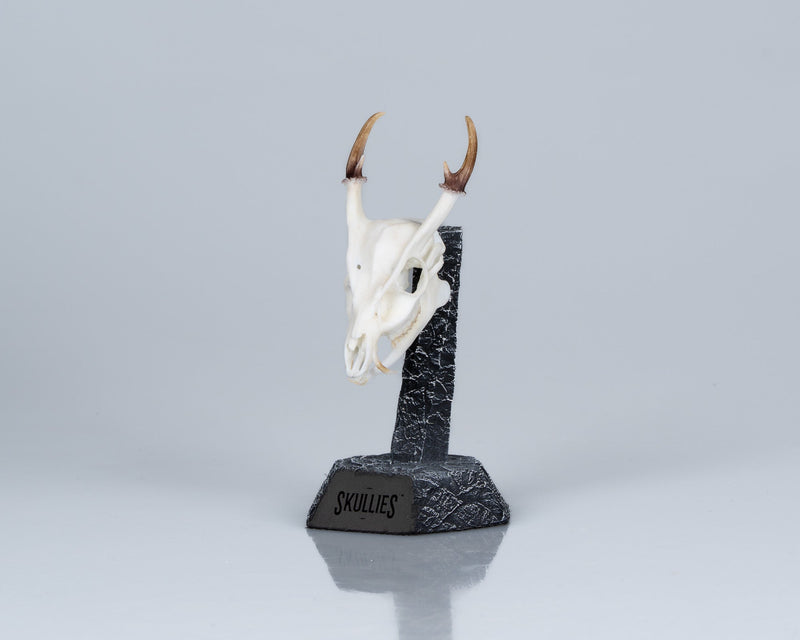 Load image into Gallery viewer, Resin Skullies - Miniature Replica Muntjac Skull - Skullies
