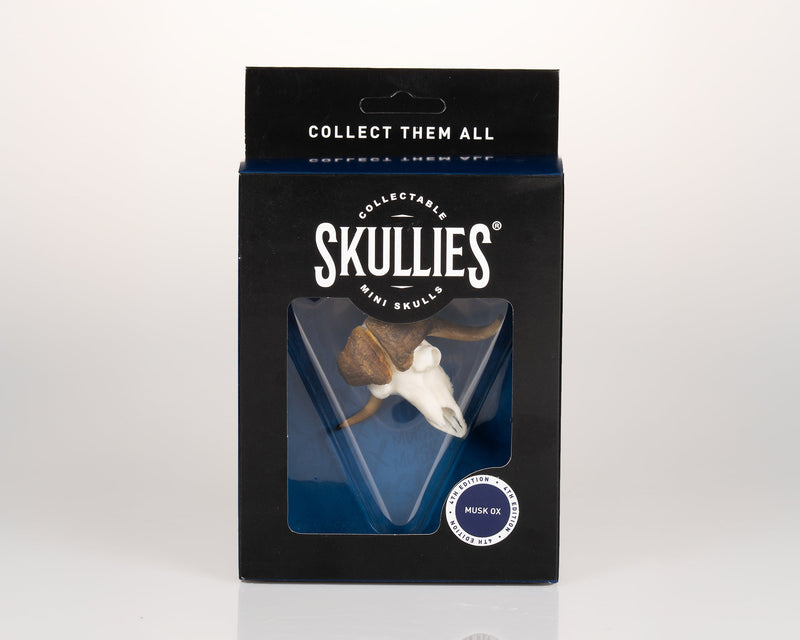 Load image into Gallery viewer, Resin Skullies - Miniature Replica Musk Ox Skull - Skullies
