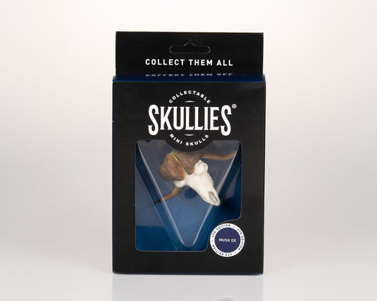 Resin Skullies - Miniature Replica Musk Ox Skull - Skullies