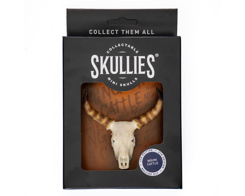 Load image into Gallery viewer, Resin Skullies - Miniature Replica Nguni Skull - Skullies
