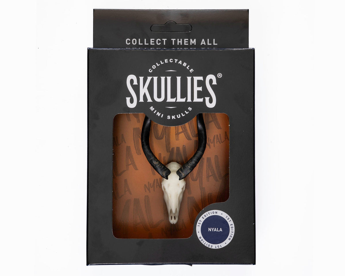 Resin Skullies - Miniature Replica Nyala Skull - Skullies