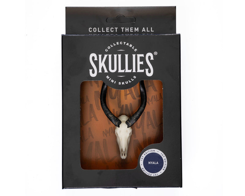 Load image into Gallery viewer, Resin Skullies - Miniature Replica Nyala Skull - Skullies

