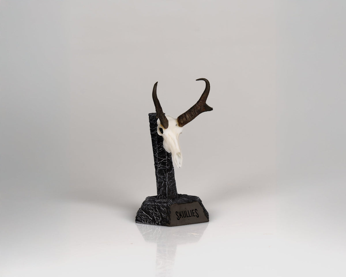 Resin Skullies - Miniature Replica Pronghorn Skull - Skullies