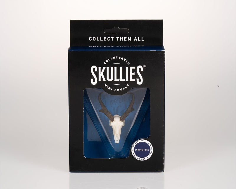 Load image into Gallery viewer, Resin Skullies - Miniature Replica Pronghorn Skull - Skullies
