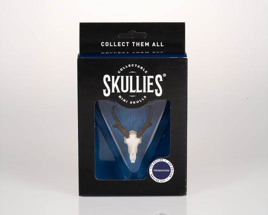 Resin Skullies - Miniature Replica Pronghorn Skull - Skullies