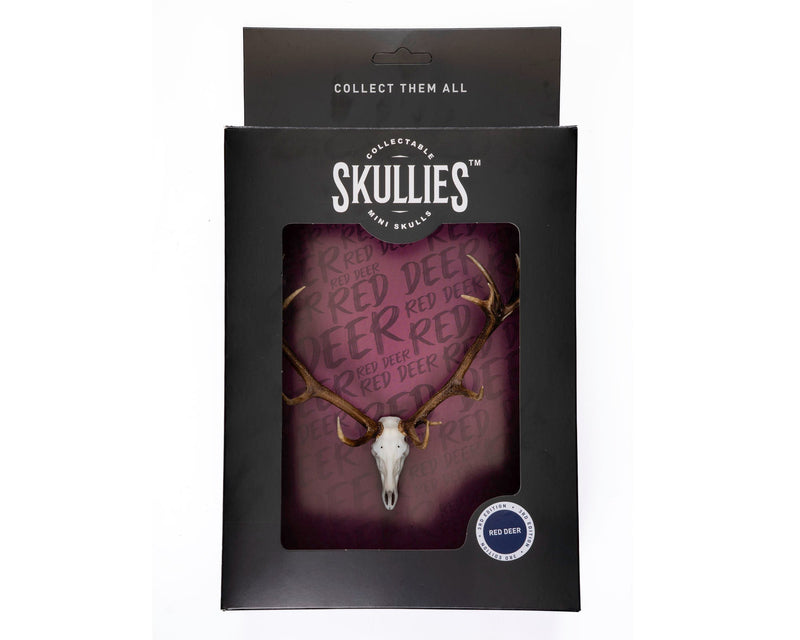 Load image into Gallery viewer, Resin Skullies - Miniature Replica Red Deer Skull - Skullies
