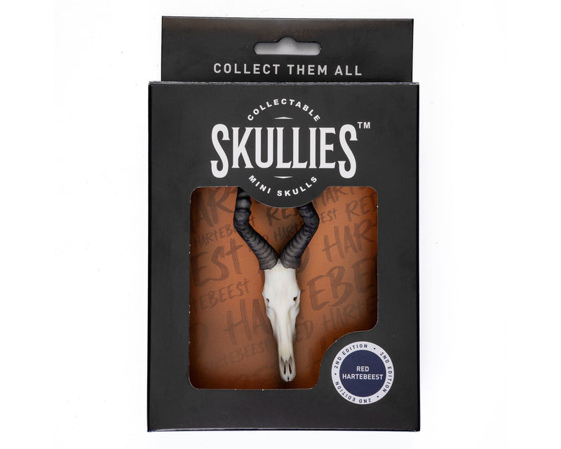 Load image into Gallery viewer, Resin Skullies - Miniature Replica Red Hartebeest Skull - Skullies
