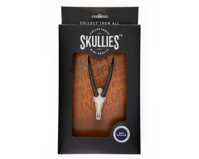 Load image into Gallery viewer, Resin Skullies - Miniature Replica Roan Skull - Skullies
