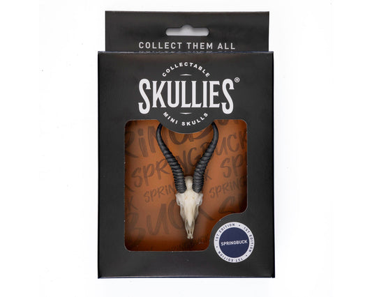 Resin Skullies - Miniature Replica Springbuck Skull - Skullies