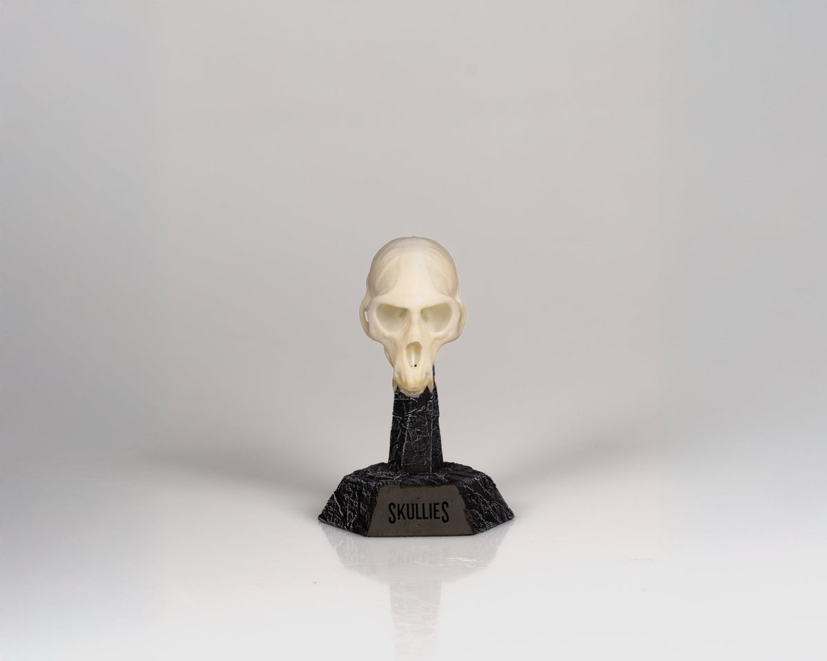 Resin Skullies - Miniature Replica Vervet Monkey Skull - Skullies