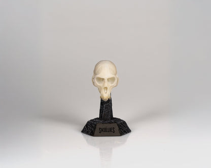 Resin Skullies - Miniature Replica Vervet Monkey Skull - Skullies