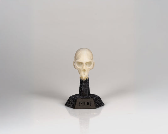 Resin Skullies - Miniature Replica Vervet Monkey Skull - Skullies
