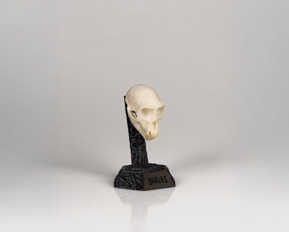 Resin Skullies - Miniature Replica Vervet Monkey Skull - Skullies