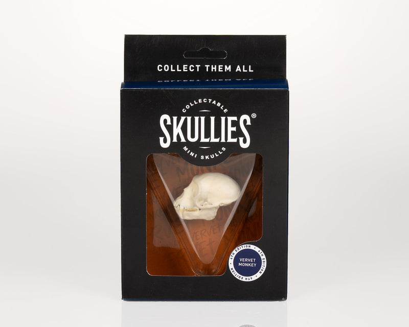 Load image into Gallery viewer, Resin Skullies - Miniature Replica Vervet Monkey Skull - Skullies

