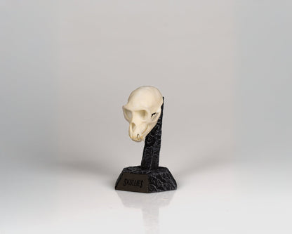 Resin Skullies - Miniature Replica Vervet Monkey Skull - Skullies