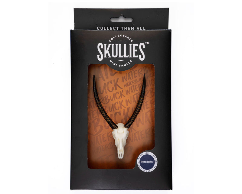 Load image into Gallery viewer, Resin Skullies - Miniature Replica Waterbuck Skull - Skullies
