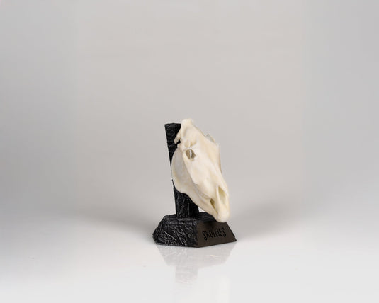 Resin Skullies - Miniature Replica Zebra Skull - Skullies